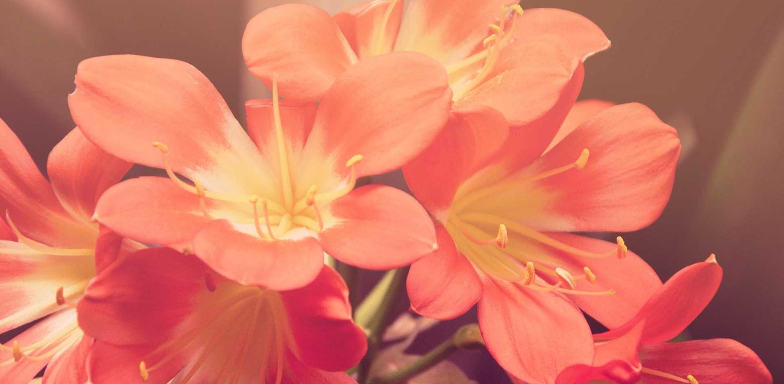 微信出售：道尔顿杂志账号注册