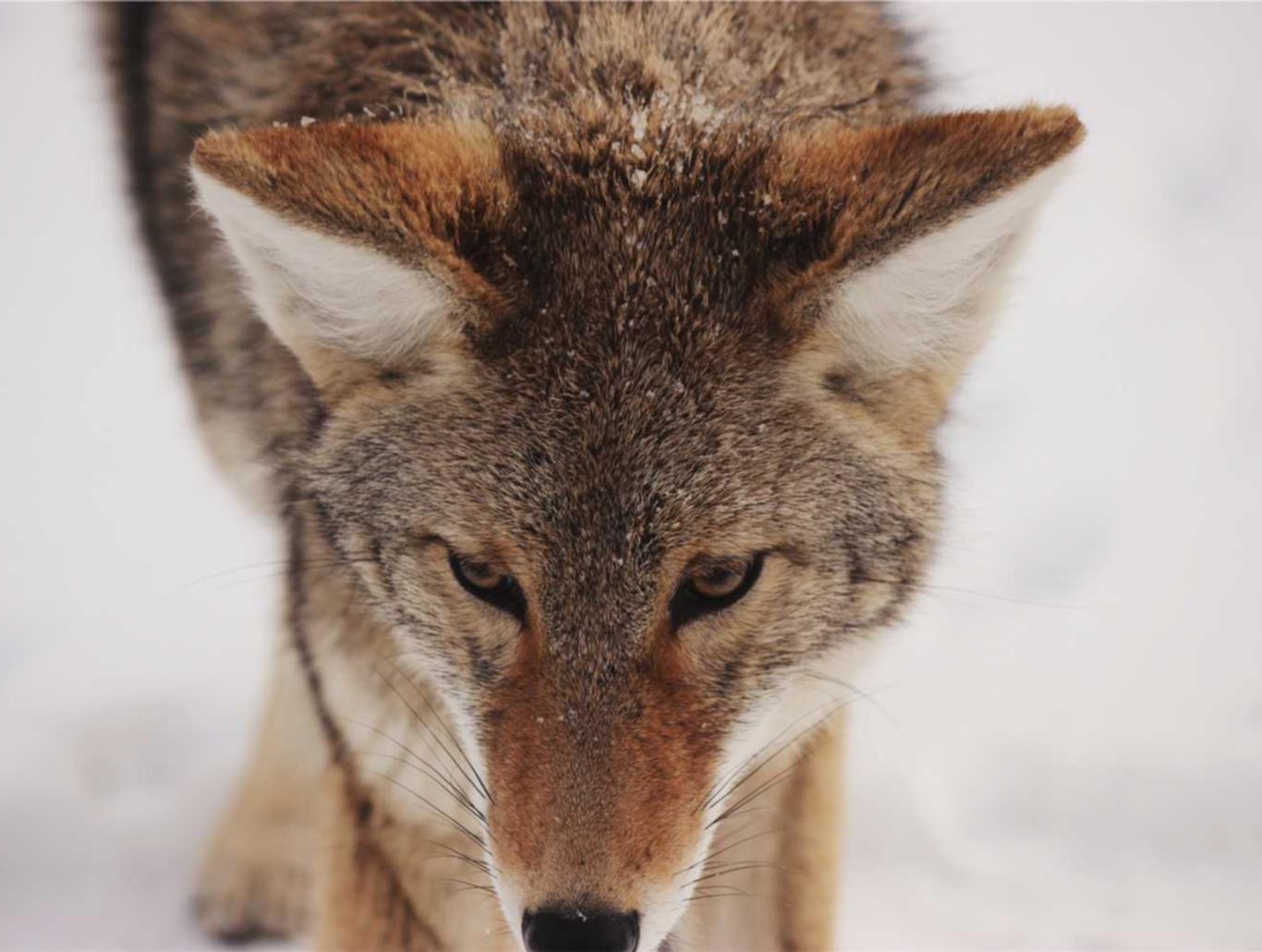 三国杀手游:资阳代理注册