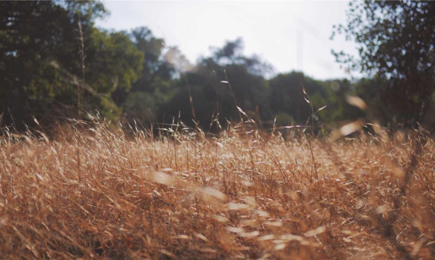 北京现货平台代理