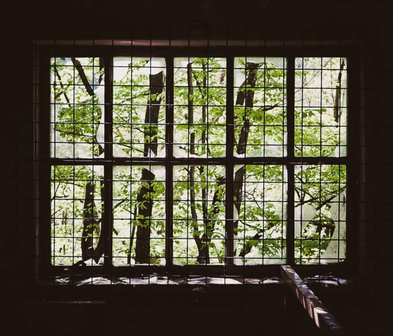 泡泡实名账号：唐人视频 app详情下载教程