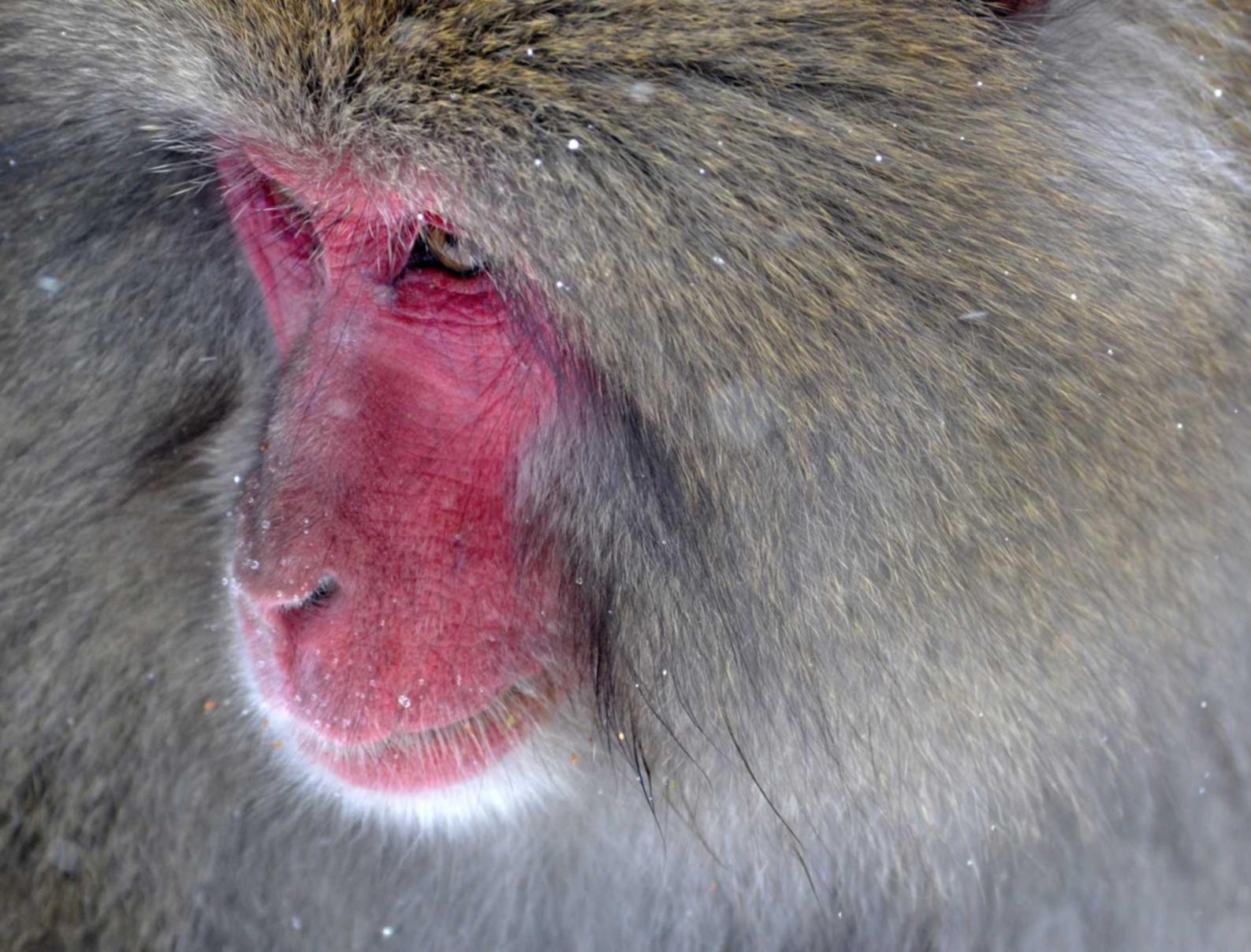 战神遗迹:新浪新闻app官网详情下载教程