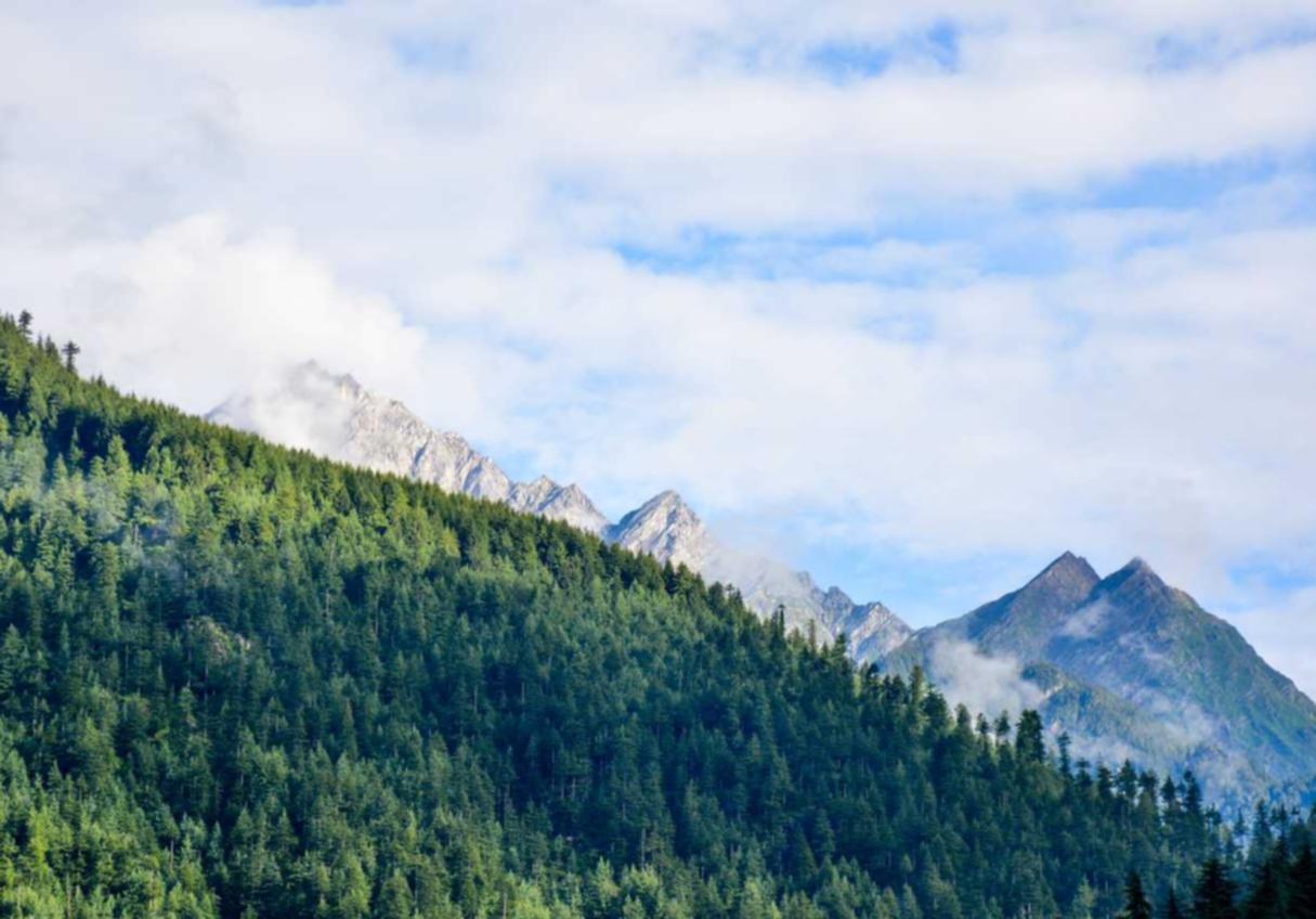 欧盟登喜路黑醇爆珠:正规项目规划平台怎么代理