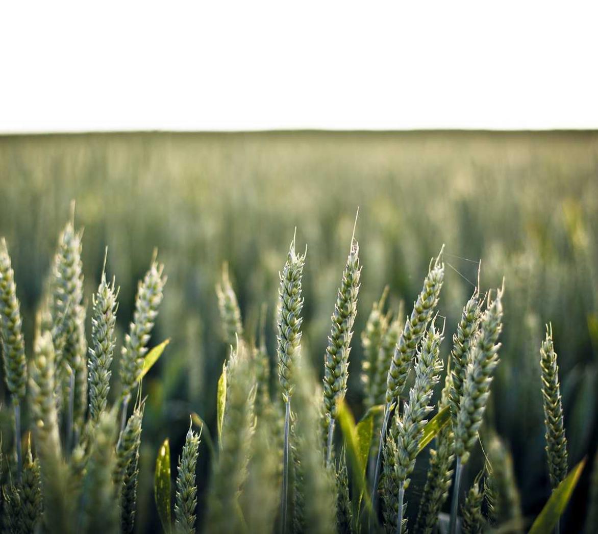 方盒欧盟扁蓝555:charles代理平台