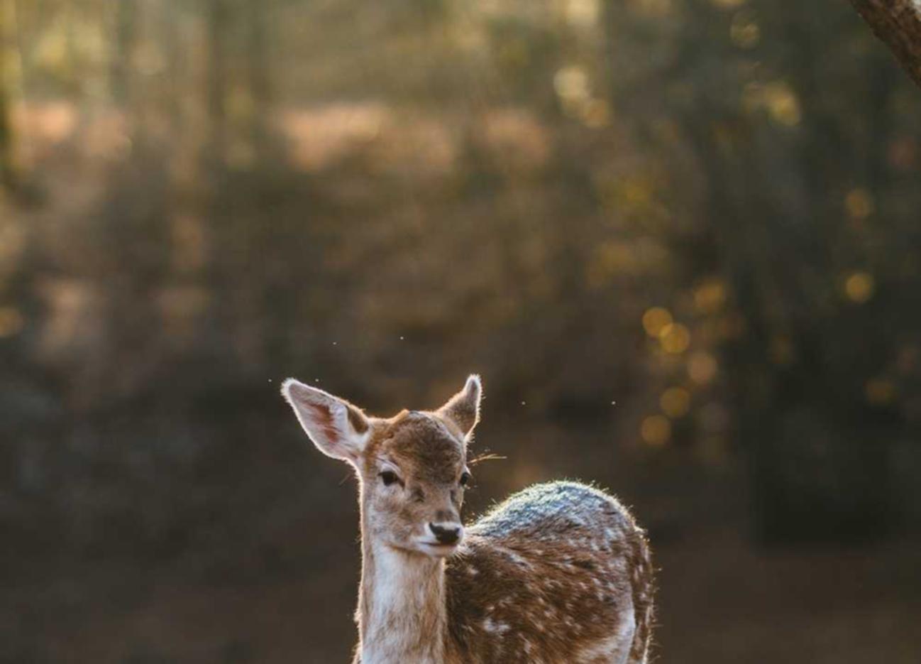 欧迪2娱乐，注册|宁波在线注册企业代理