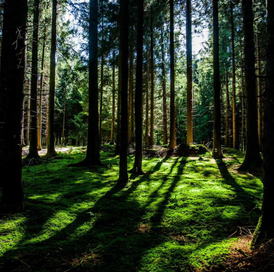 飞网ip实名账号：用户在实名制度下的革命性操作技巧