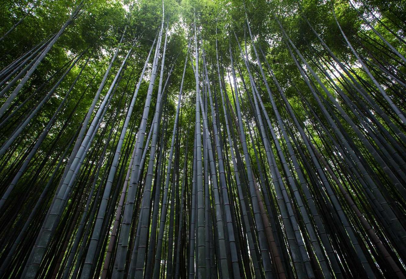 Peel百乐蓝莓爆珠：平台购买白酒转卖