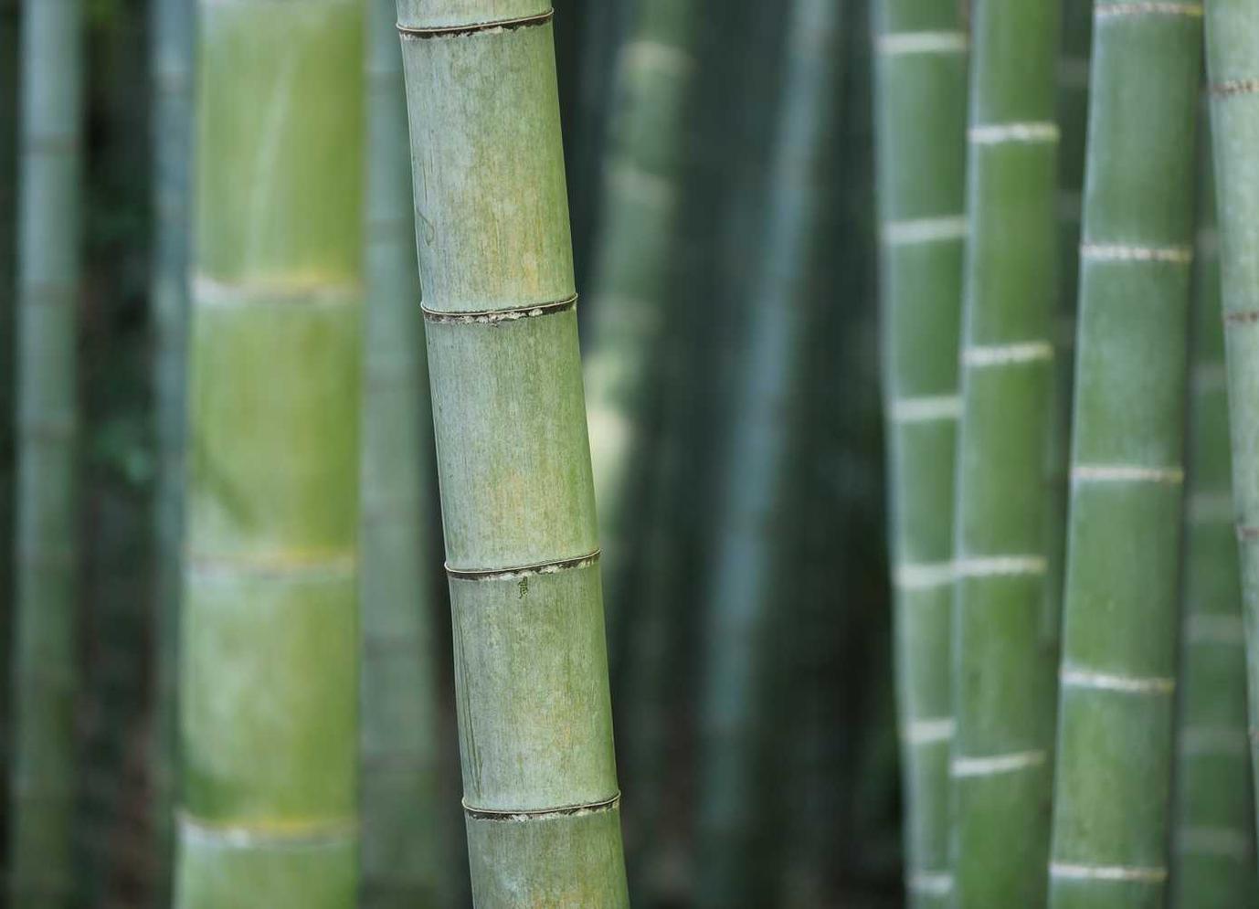 衡天云实名账号：兖州区注册公司注册代理