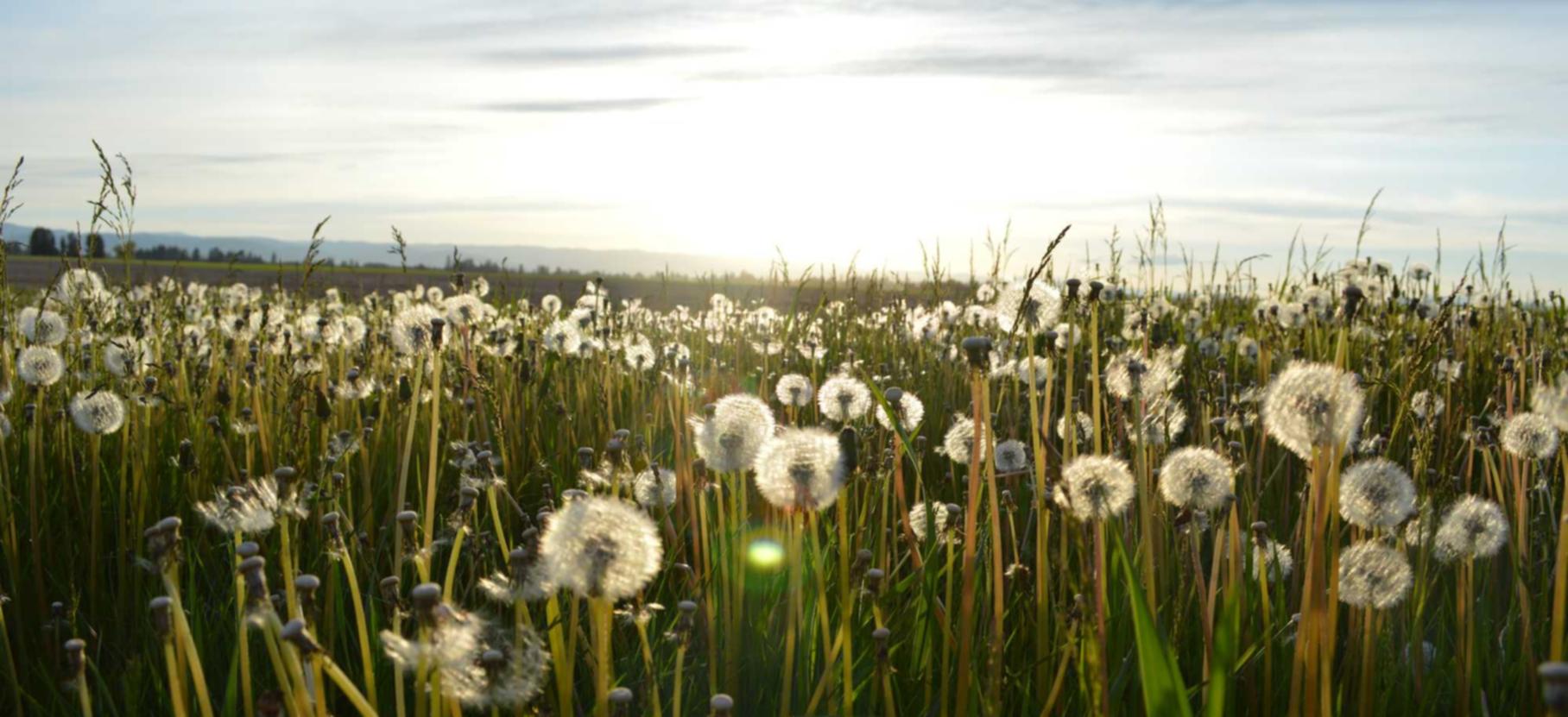 盾之勇者成名录:浪潮:基金场内购买平台