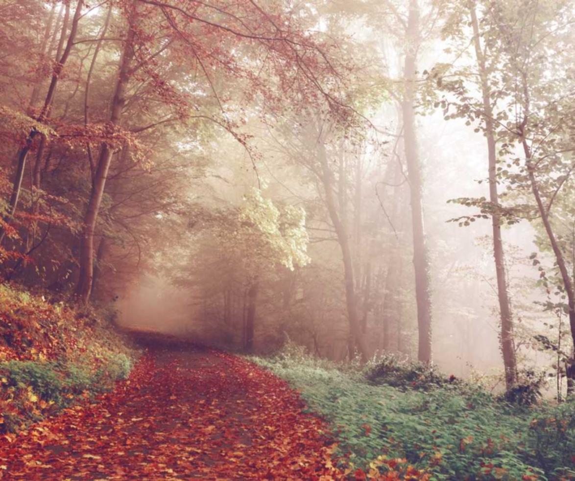 阿凡提绿豆:在美国怎么用酷狗app详情下载教程