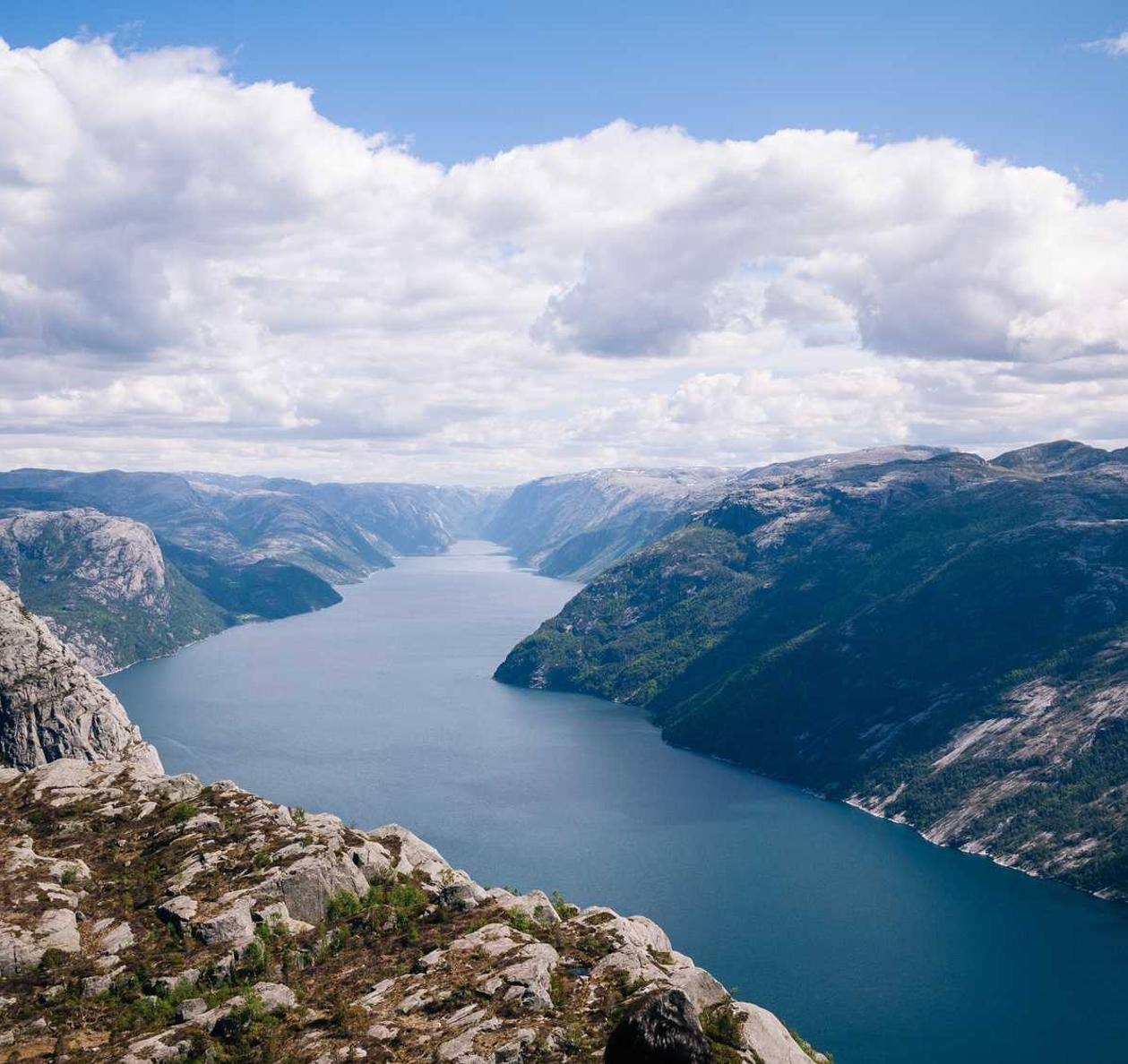 大王不高兴辅助- 顺义在线APP详情下载教程