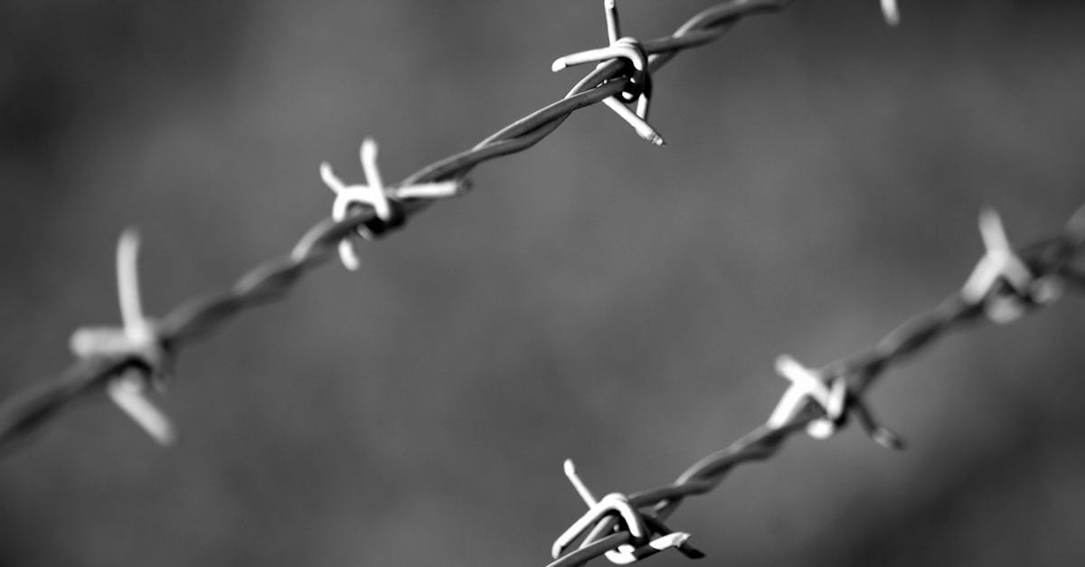 如何预防黑客从游戏中发现新的技术支持辅助漏洞