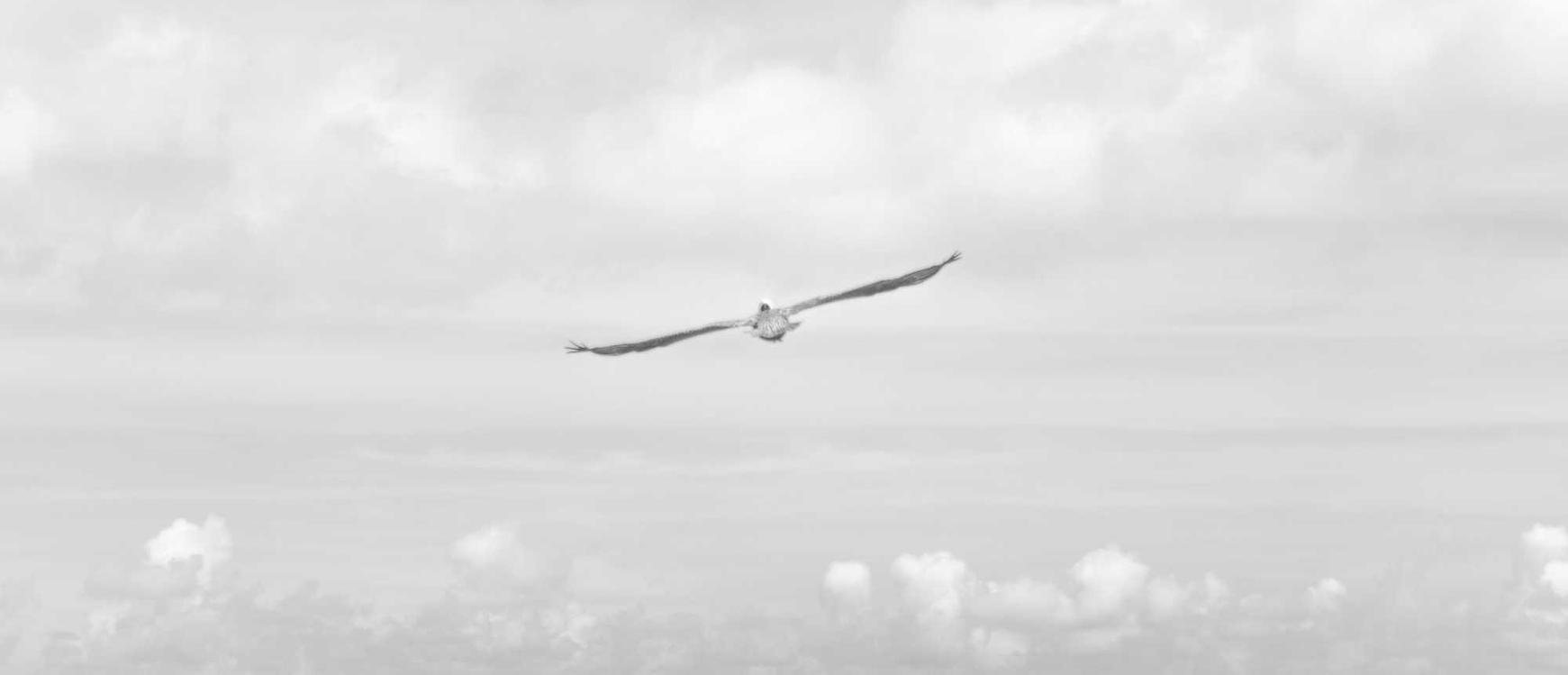 星辉娱乐，注册|开福区代理注册