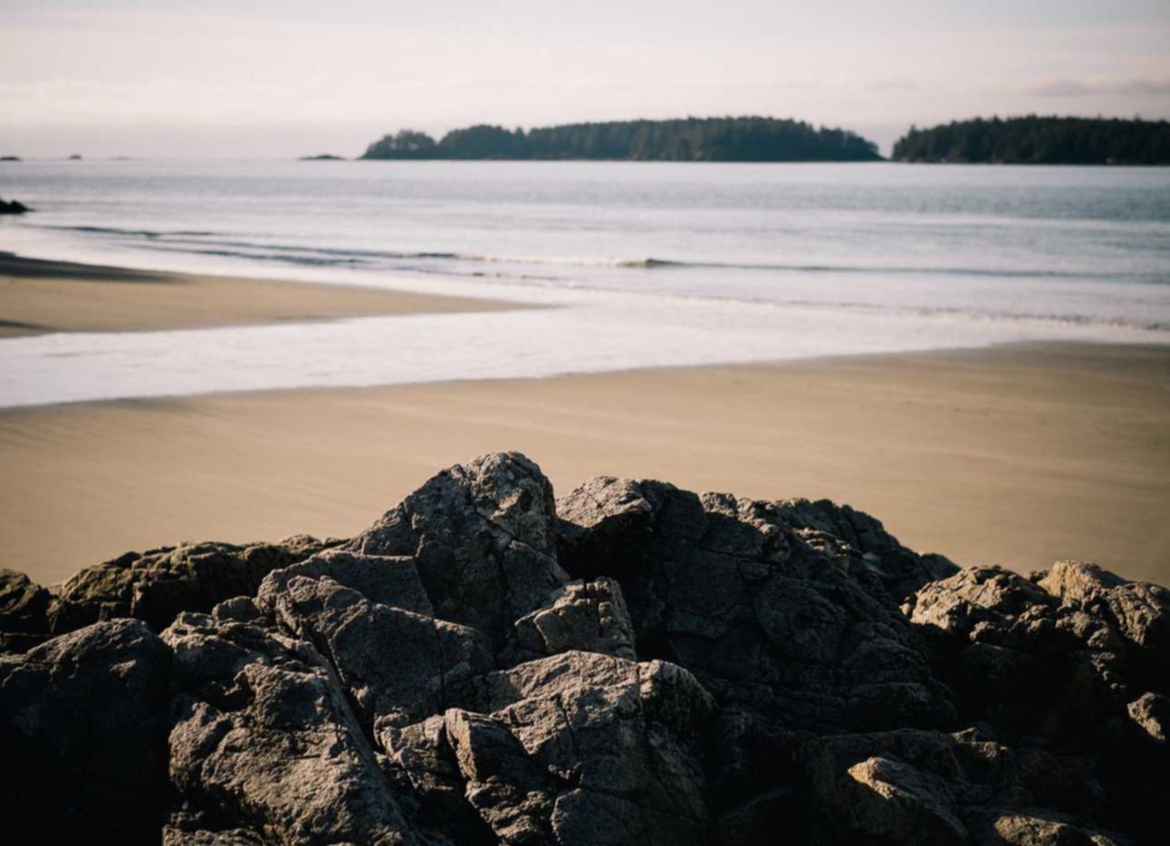 高希霸俱乐部2022限量版（20支/盒）：斗鱼小号平台购买