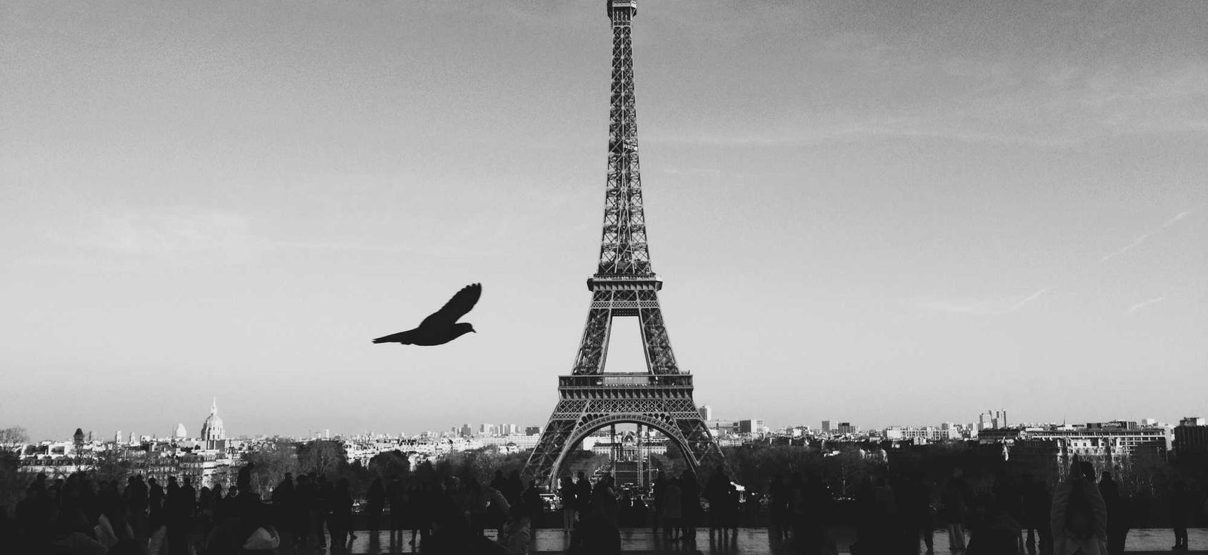 衡天云实名账号：美团商家版app详情下载教程