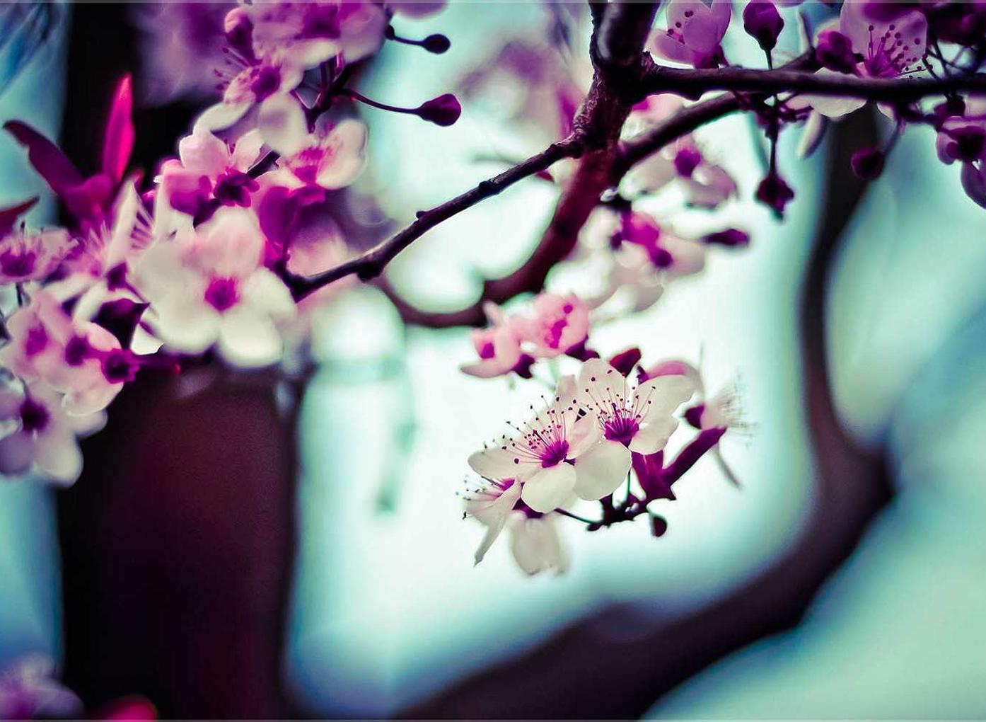 趣约会实名账号：355项目规划官方app安卓详情下载教程