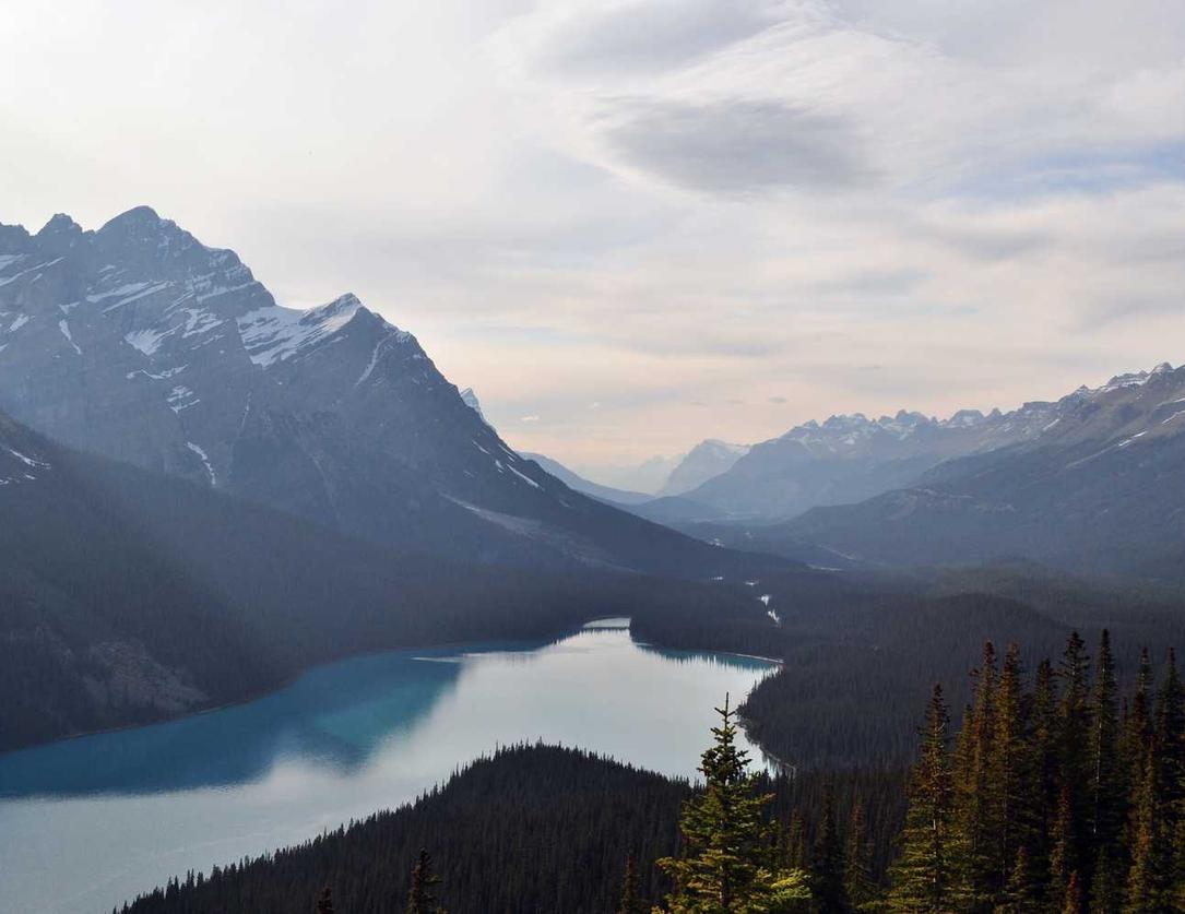 日免七星黑标（软）：gopro app 中文详情下载教程