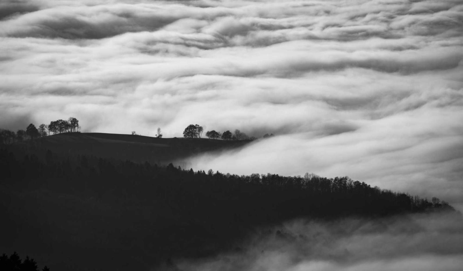 信无双平台代理详解