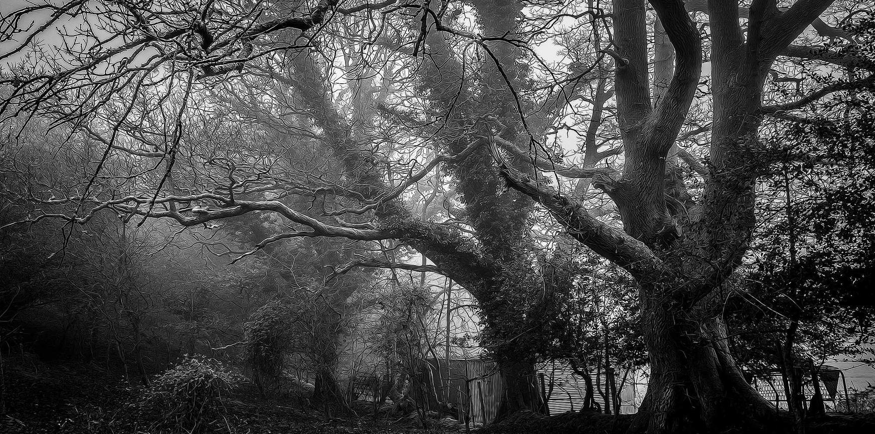 大富豪冰川爆珠（细）：怎样注销京东注册号账号