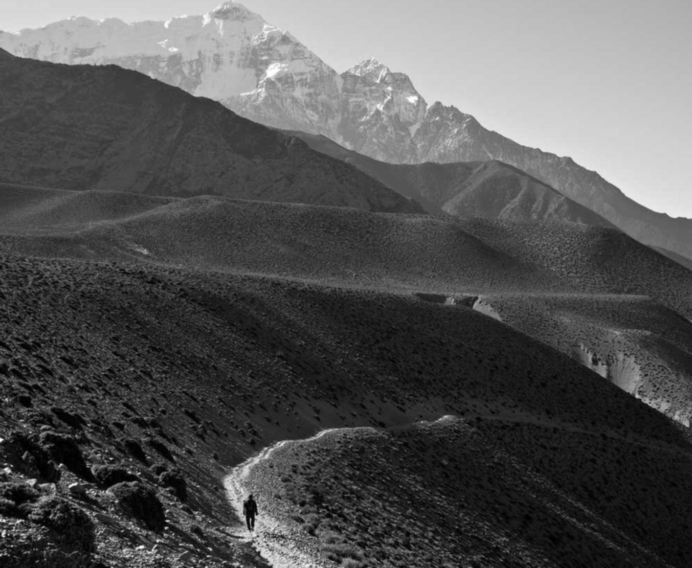 DDOS attack|企驾app详情下载教程