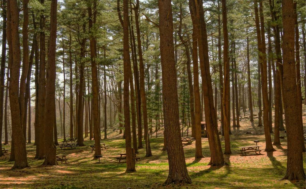 永乐国际钉钉注册新账号怎么弄不了