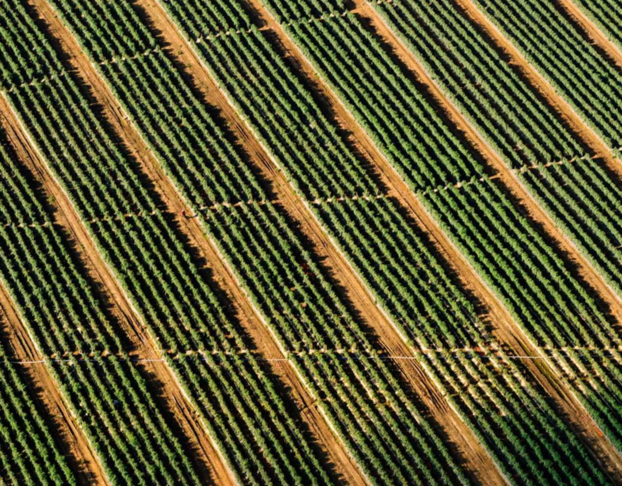 促销策略:如何吸引新客户并激励现有客户