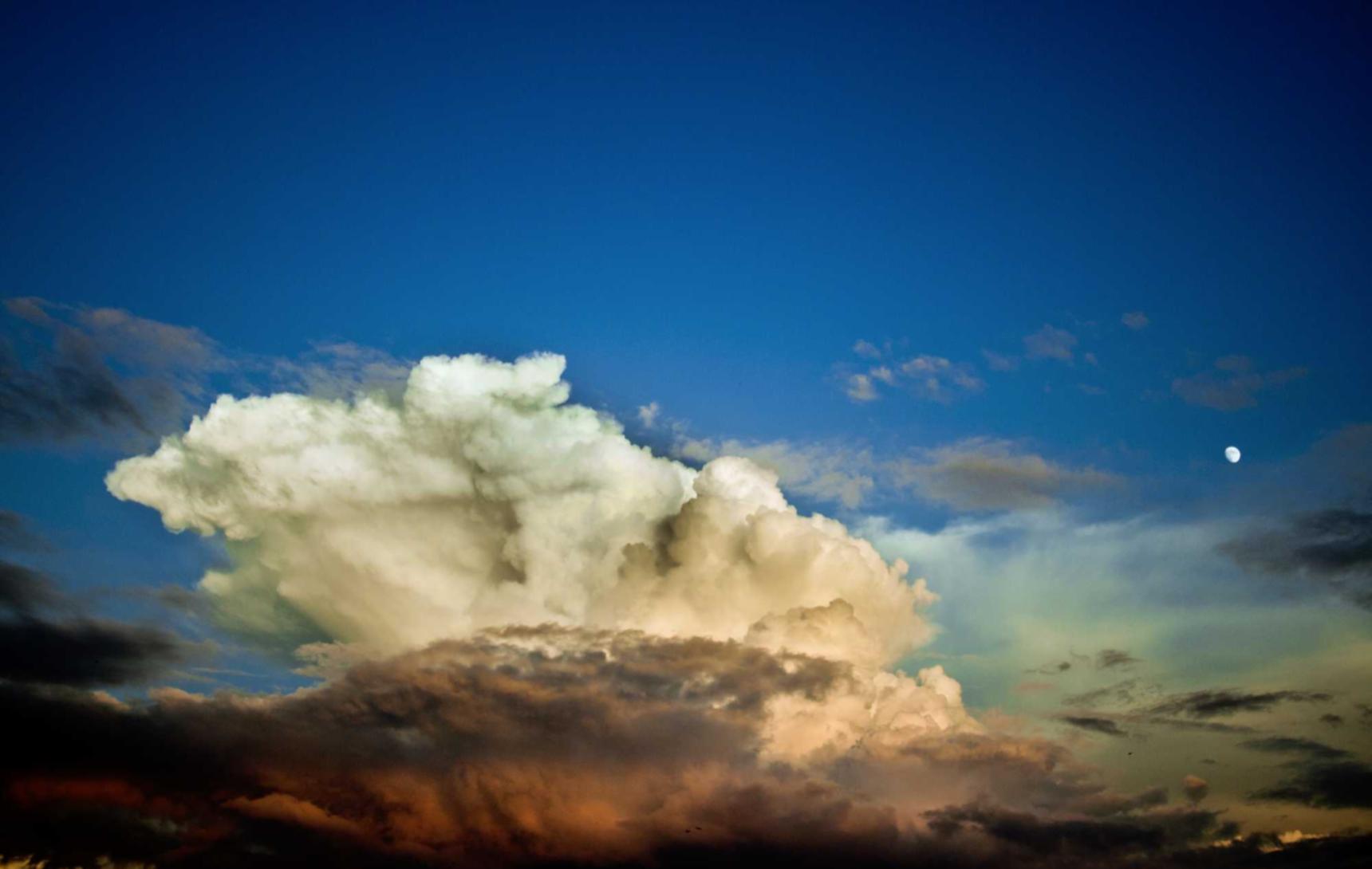 铁塔猫冰果爆珠（粗）：国外账号怎么注册谷歌