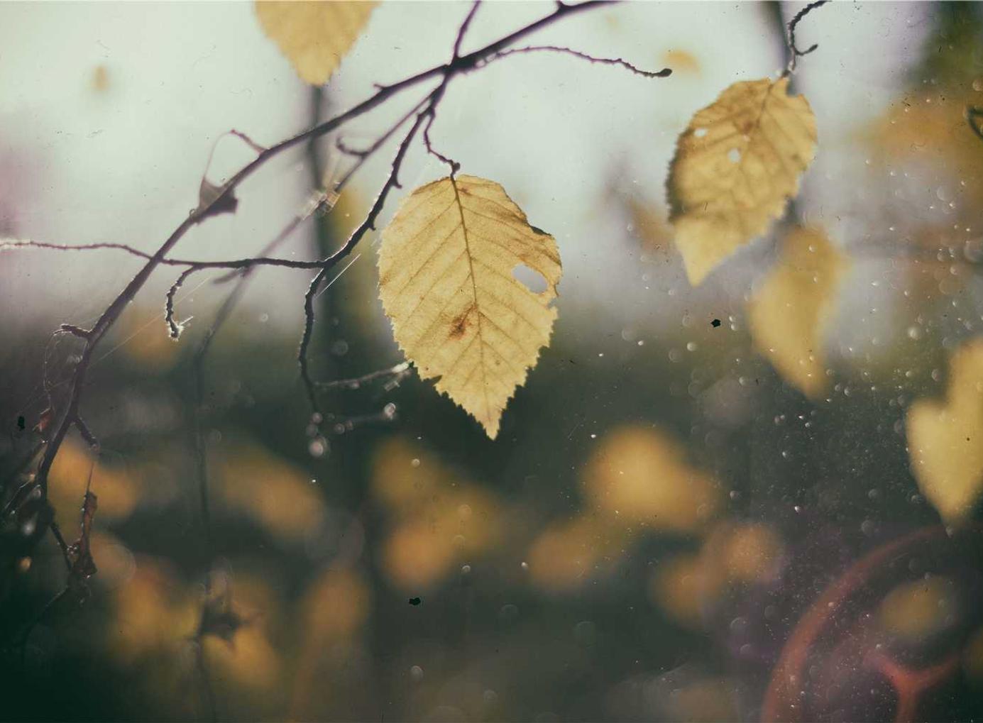 霍尔果斯注册代理公司