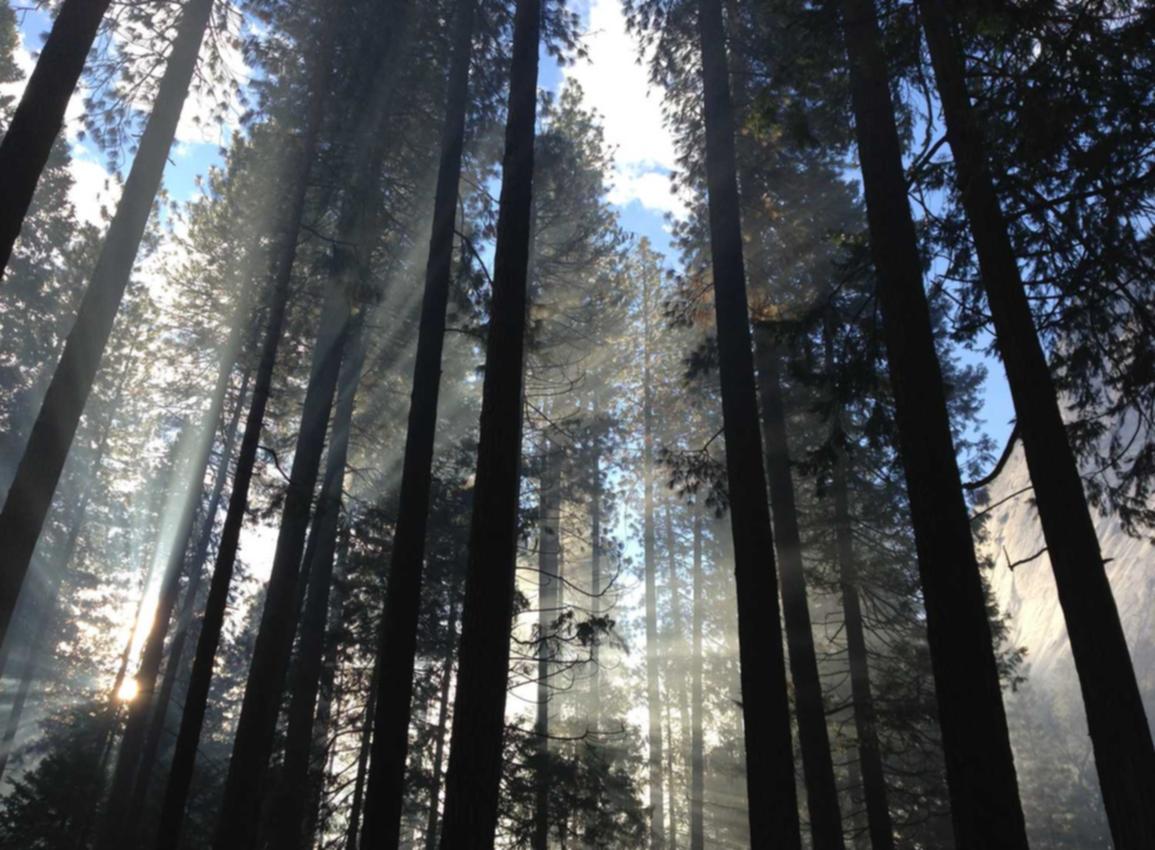 优酷移动实名账号：流量卡如何充值，让你更方便快捷。