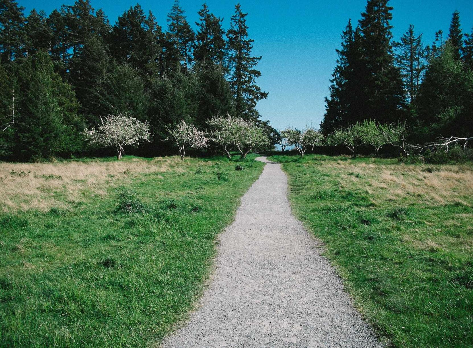 网易手机卡实名账号：小米账号如何取消注册