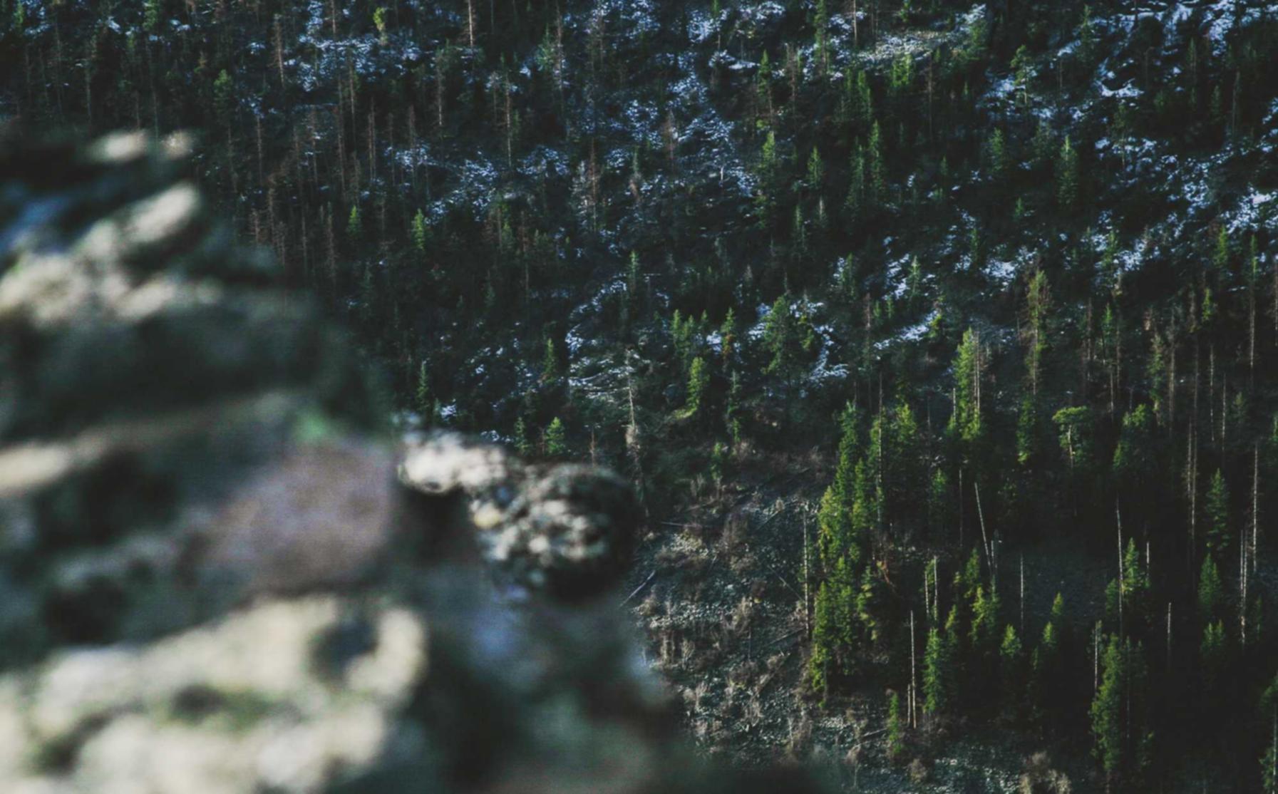 中麦通讯实名账号：进贤县公司注册代理