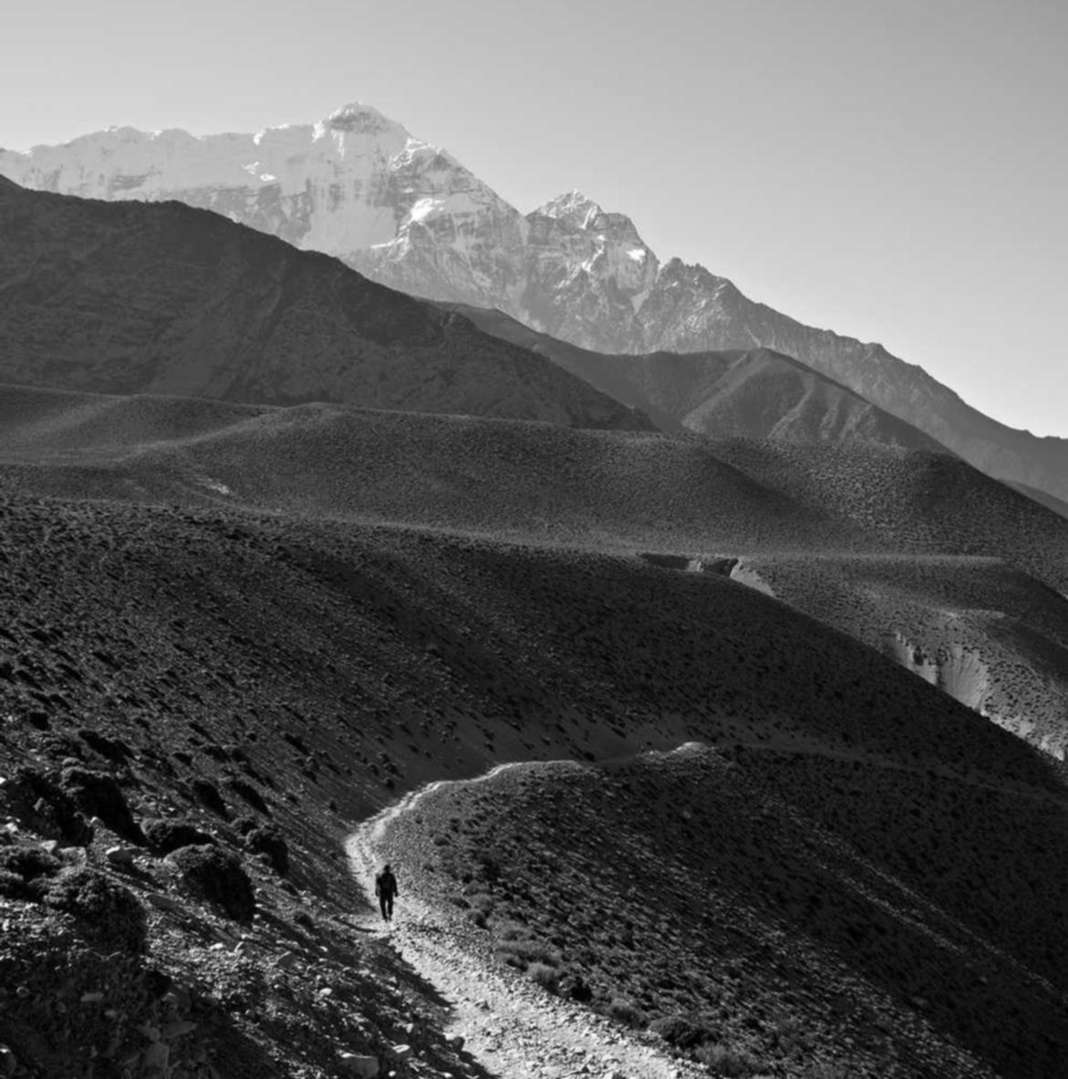 乐语通讯实名账号：小号短信平台招代理