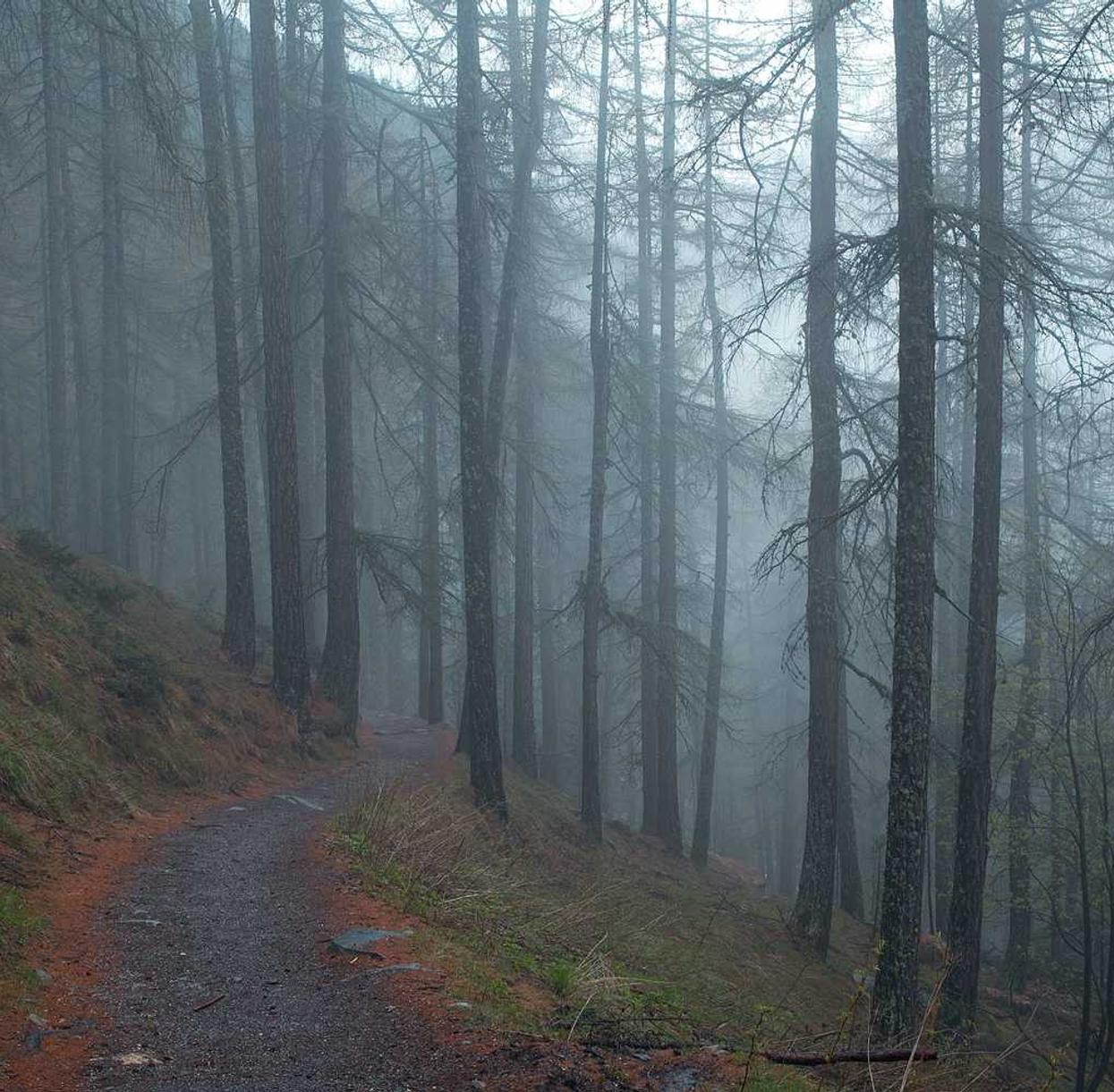 豪利时橙子双爆珠：金华购买卡瓦依钢琴平台