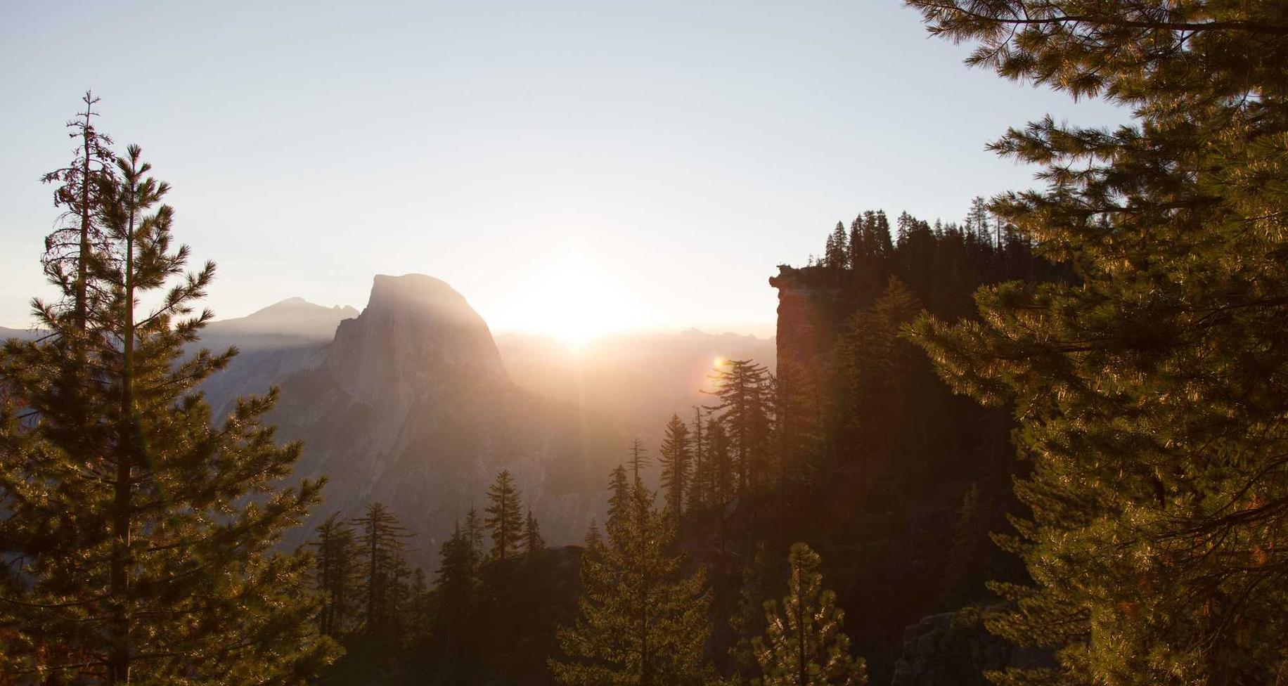 DogYun实名账号：红桥区代理注册新公司平台