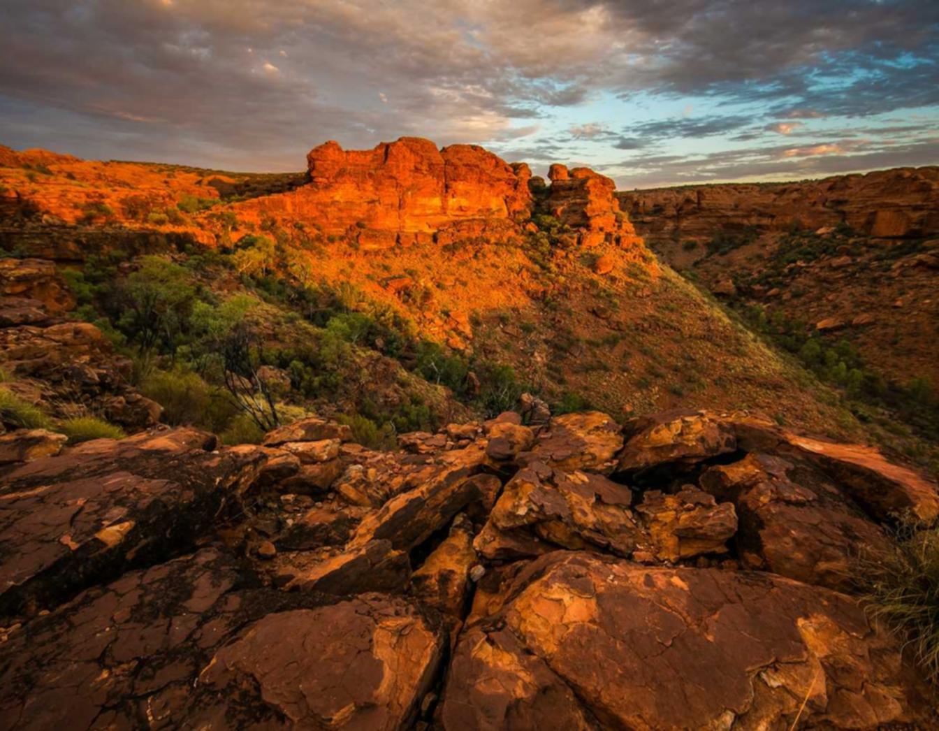 百将录：购买平台基金