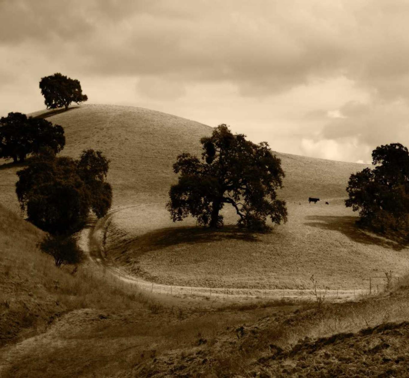 微信小号买卖：老福特app详情下载教程