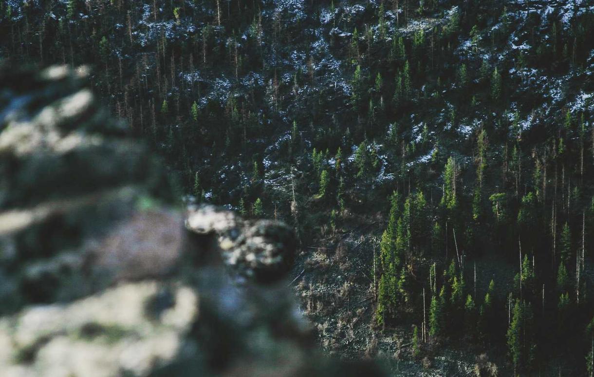 网页DDOS攻击平台|lol手游东南亚详情下载教程教程账号注册