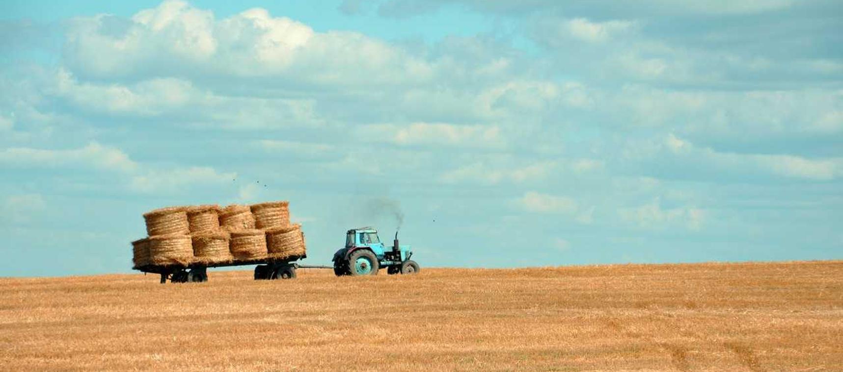 最强NBA：荆州蔬菜购买平台
