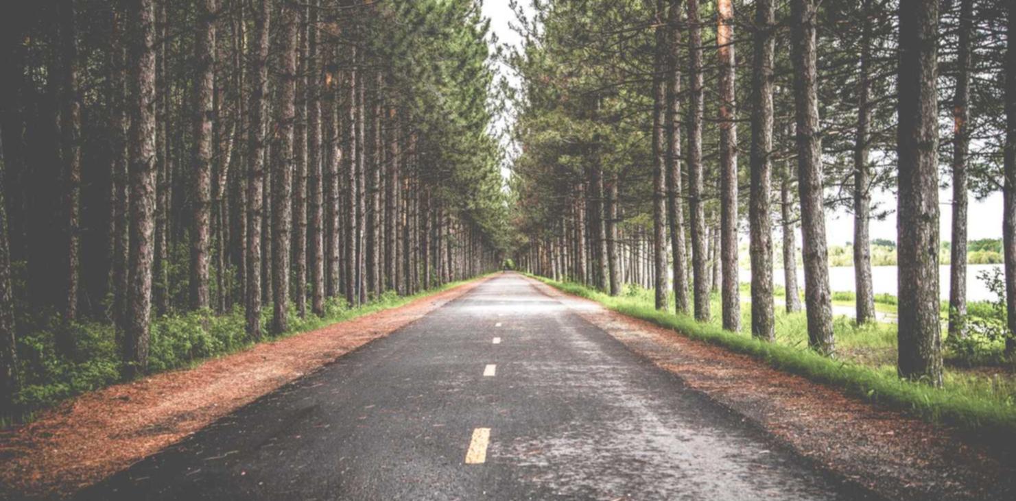 香烟成本巨高，值得话费吗？