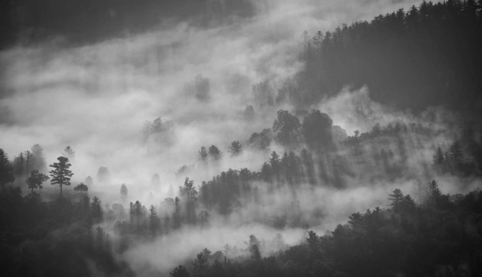 分享通信实名账号：实名认证和在线服务的质量建设研究