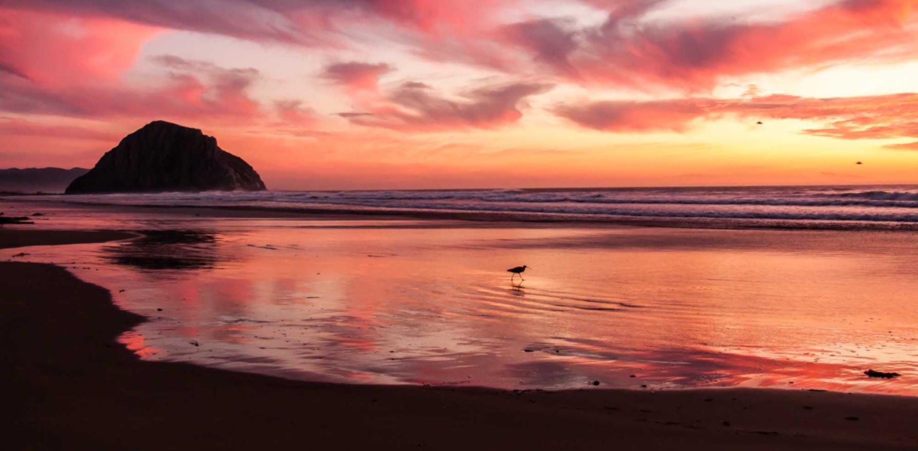 伊对实名账号:新平台旋转平台代理