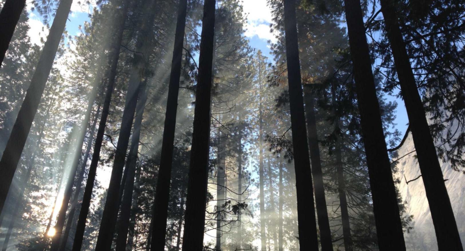 阿里手机卡实名账号：杭州工商注册代理服务