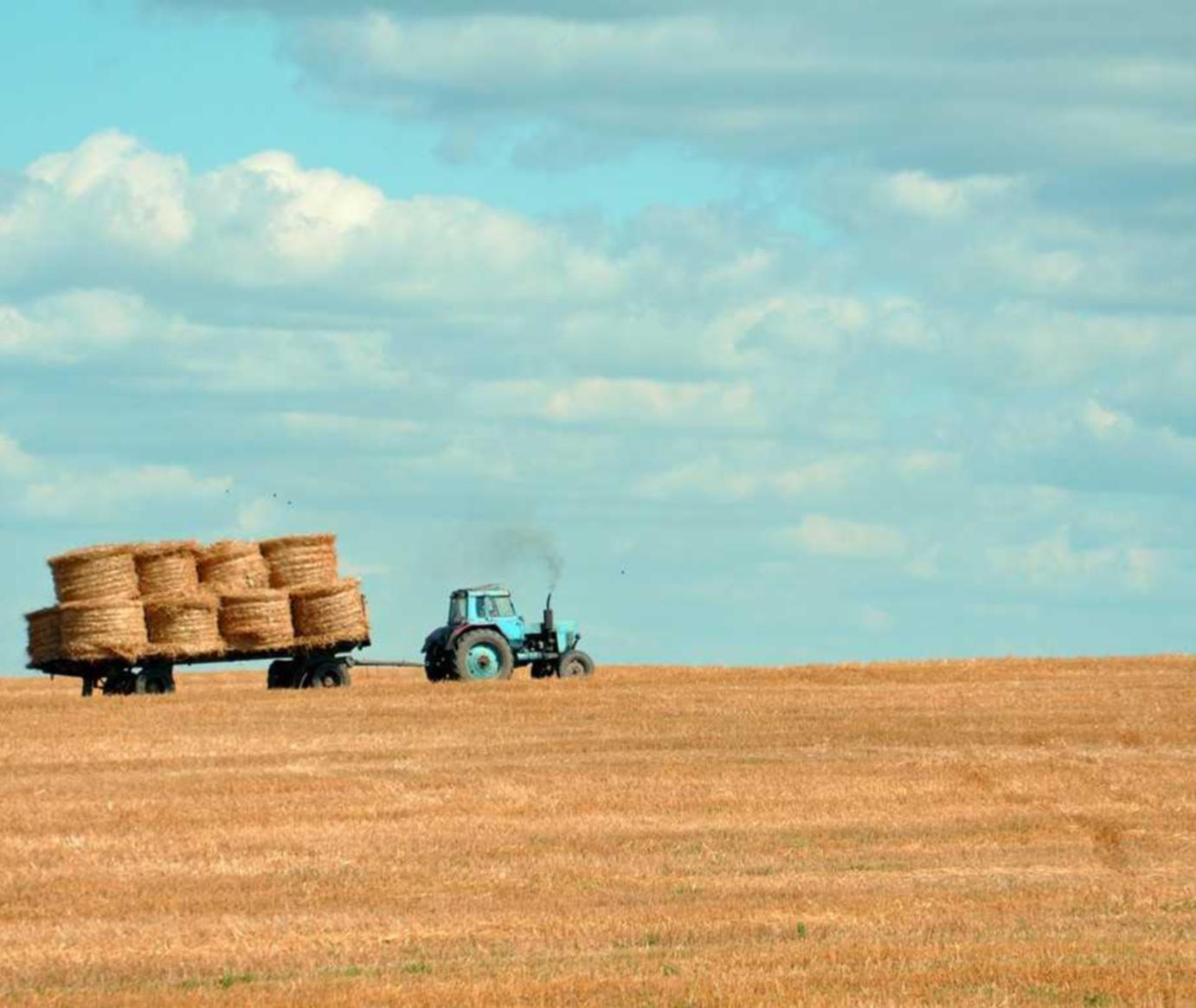 海信通信实名账号：螺蛳粉平台代理