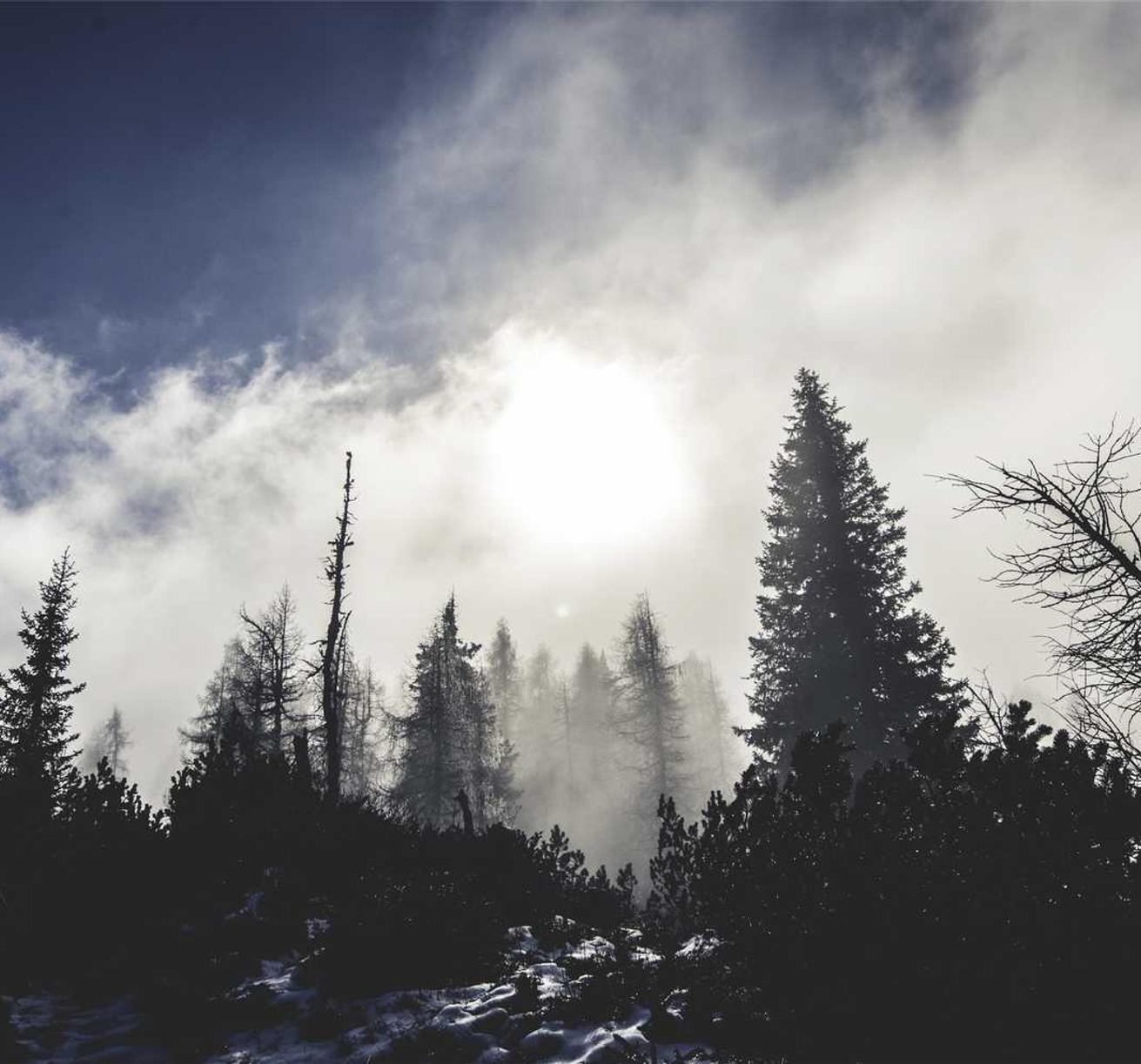 买卖VX号：短信验证码的安全性措施