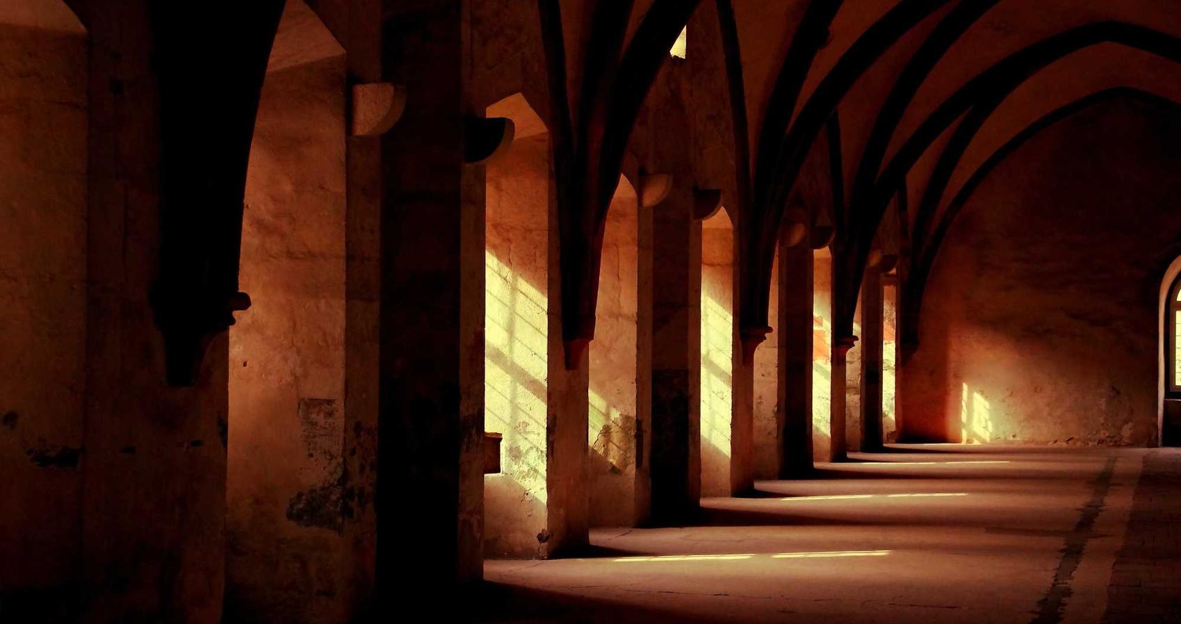 西部数码实名账号：详情下载教程上海迪士尼app