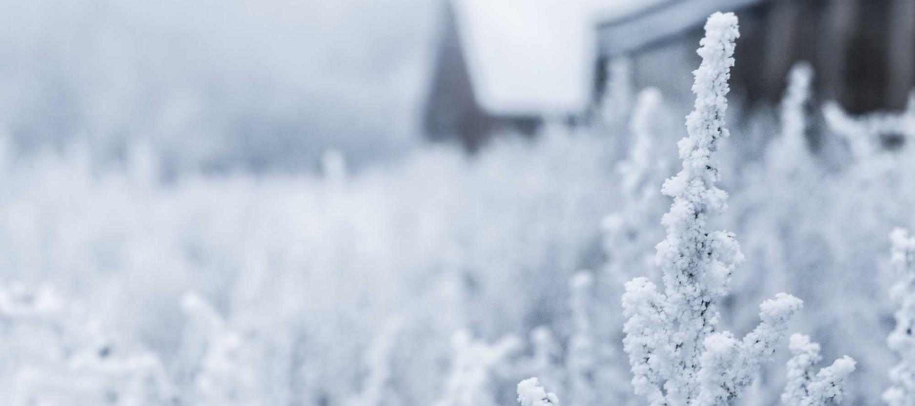 二号站利用短视频宣传品牌文化