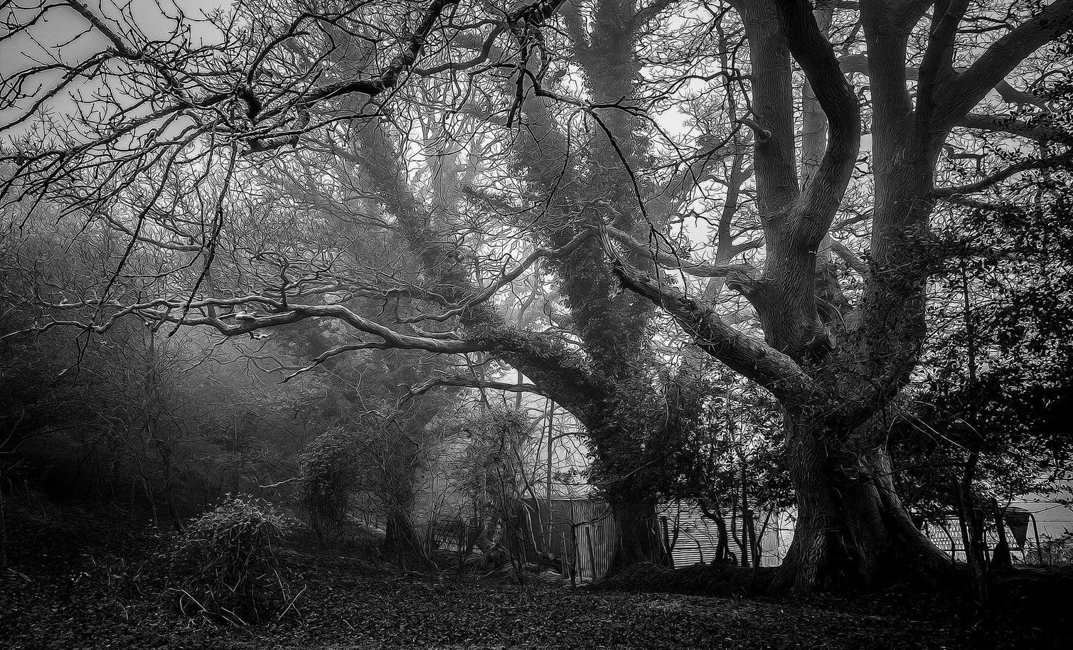 二战风云2：懂游戏手游app详情下载教程