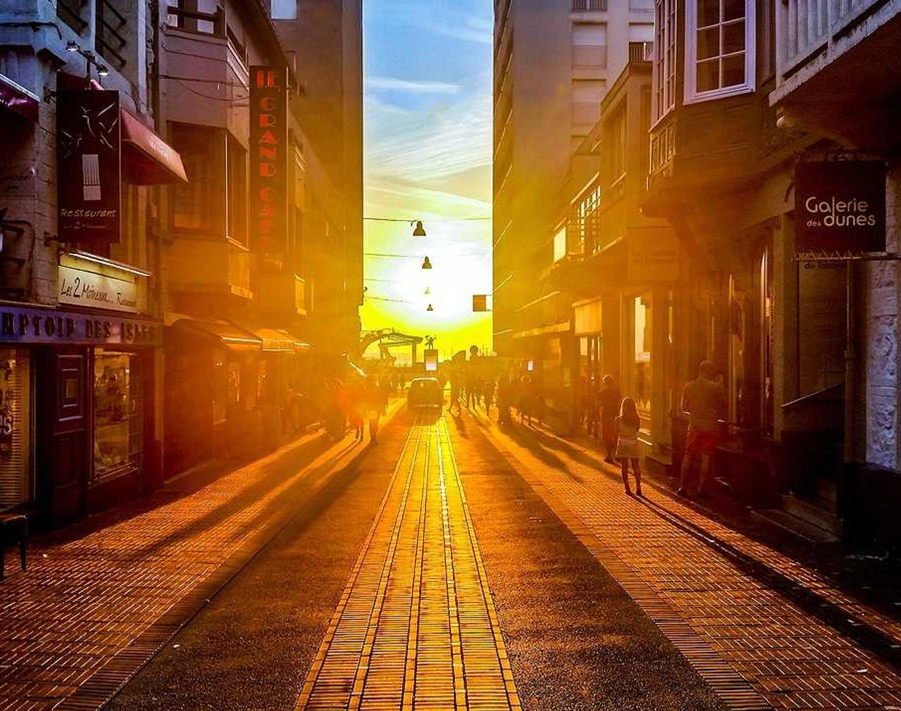 广告和SEO之间的共生关系