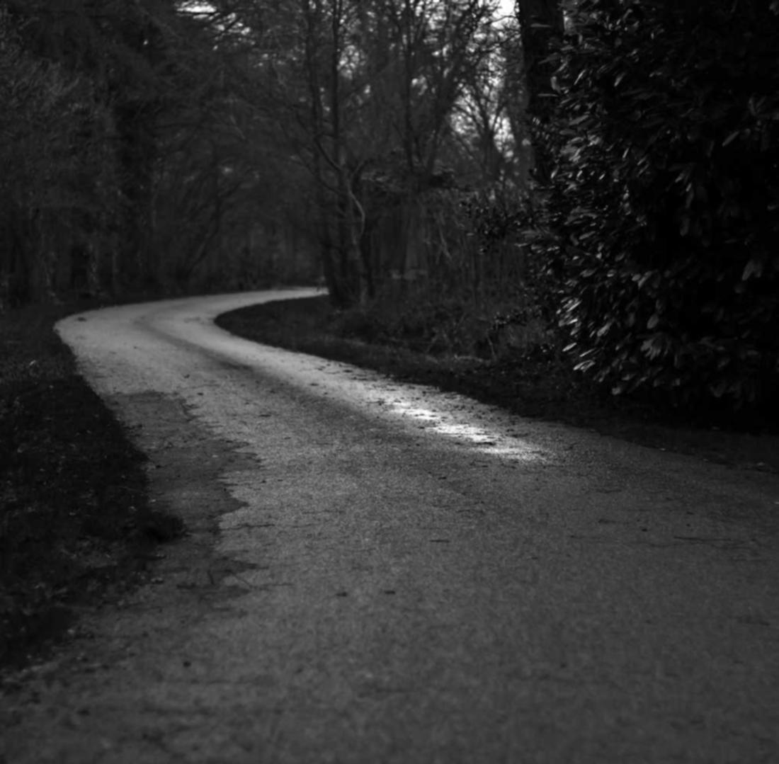 双生视界:菜票平台代理