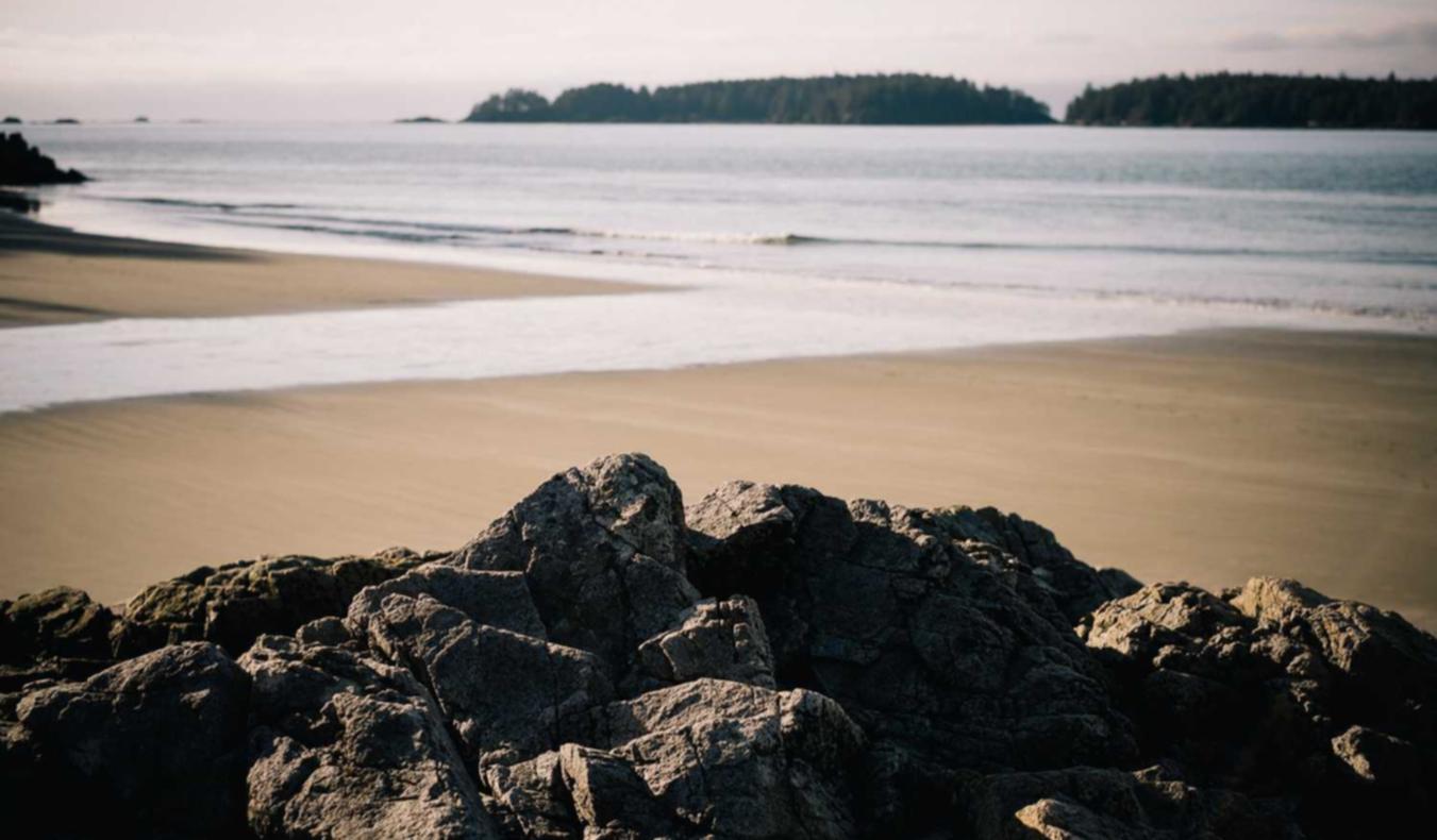 XXE漏洞对网络安全的深远影响：如何提升风险识别能力？