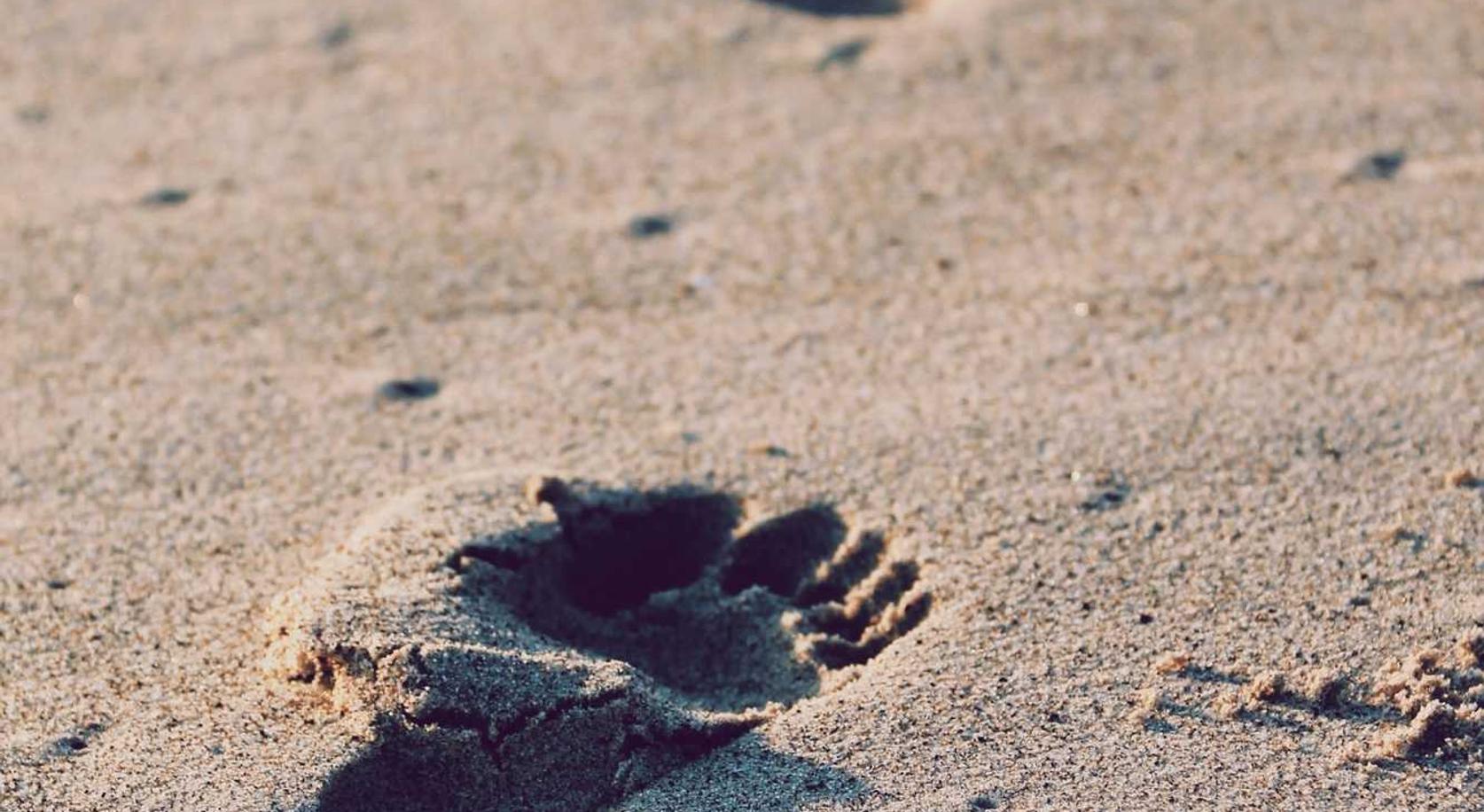 芒果星芒卡实名账号:流量卡的使用场景:面向移动人群,轻松使用